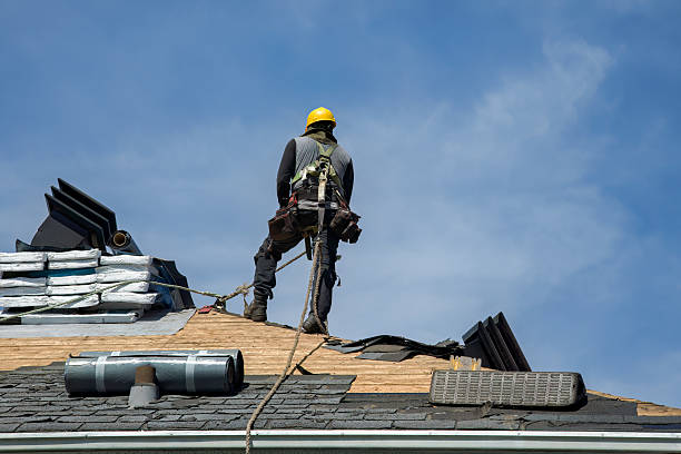 Professional Roof Installation technician working in Tuttle, ND
